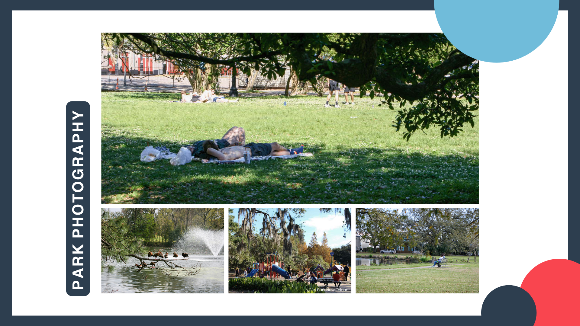 Parks for All Case Study